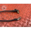 Cable de masse Cagiva 1000 Raptor 2000 à 2005